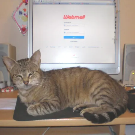 Oaza Tribunj Sea View Lejlighed *