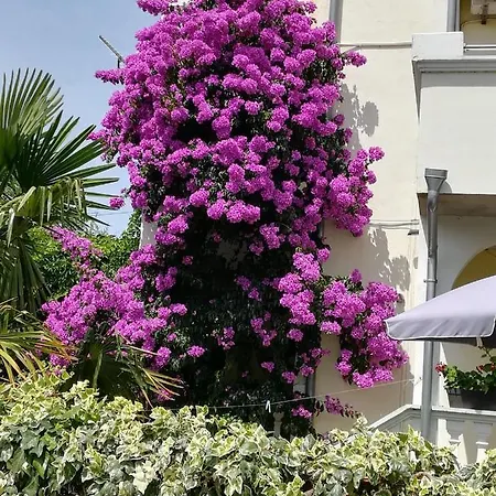 Oaza Tribunj Sea View Διαμέρισμα *