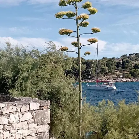 Oaza Tribunj Sea View