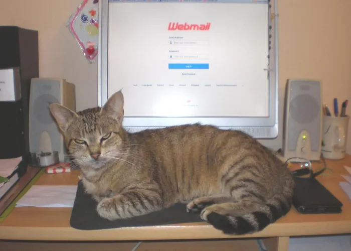 Oaza Tribunj Sea View Lejlighed *