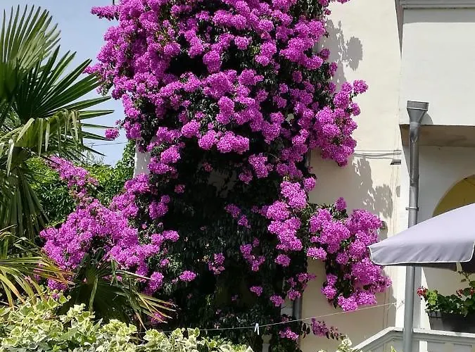 Oaza Tribunj Sea View דירה *