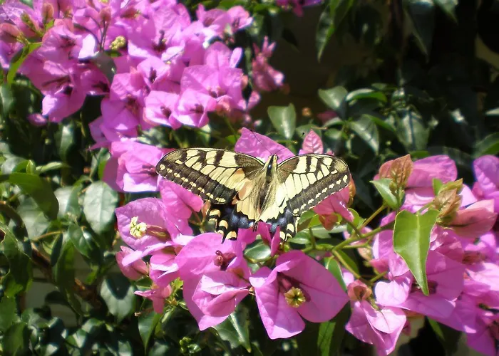 Oaza Tribunj Sea View Lejlighed Tribalj